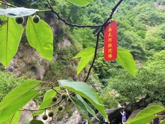 -西安金龙峡风景区