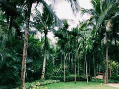 -三亚湾海居铂尔曼度假酒店