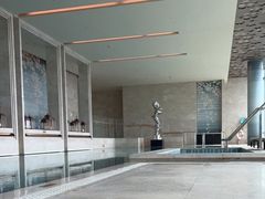 -成都华尔道夫酒店游泳池