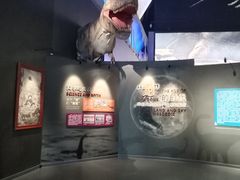 -抱抱地球咖啡馆(国家海洋博物馆店)