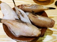 蓝尾耗儿鱼-肥龙火锅(南坪店)