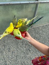 -萌宠亲子动物乐园(槐房万达店)