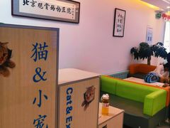 -北京观赏动物医院·24小时大型综合·猫专科·异宠专科