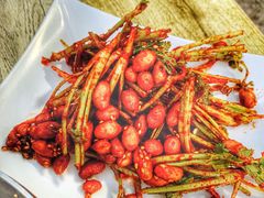 香菜根花生米-鞍山戰