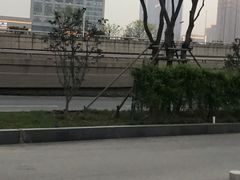 -后襄河公园