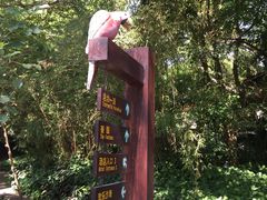 -佛山祈福仙湖酒店