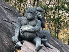 -哈尔滨北方森林动物园