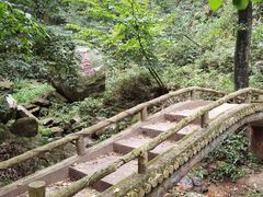 -波尔登森林公园