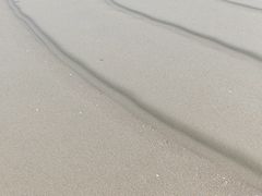 -北海金海湾红树林生态旅游区