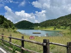 -武陵山森林公园