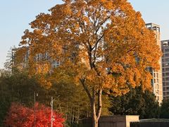 -浙江农林大学(东湖校区)