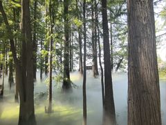 -东湖落雁景区