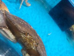 -盒马鲜生(观音桥店)