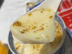 甜豆花-金多鱼大排档·烤鱼·烧烤·宵夜(江南水都店)