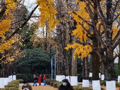 -百林公园-两江幸福广场