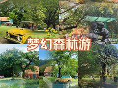 -南沙蒲洲花园