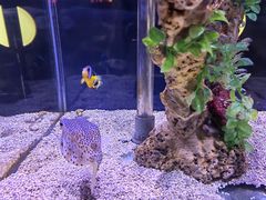 -太平洋海底世界