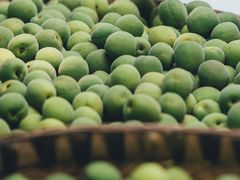 -悦哉·派对·草坪婚礼·围炉煮茶(三圣乡店)