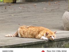 -江南大学(蠡湖校区)