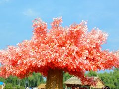 android_upload_pic-北京东方普罗旺斯薰衣草庄园