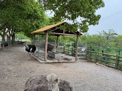 -苏州太湖西山岛开心农场