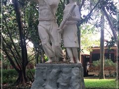 -瑞丽独树成林风景区