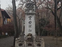 -灵谷景区