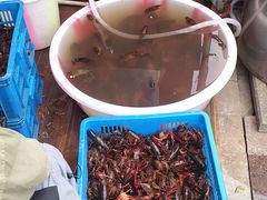 -庾氏龙虾馆(多弗汇店)