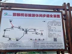 -大岭沟猕猴桃谷风景区
