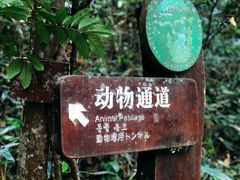 -龙湾潭国家森林公园