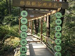 -大岭沟猕猴桃谷风景区