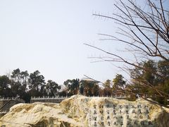 -放鹰台遗址
