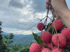 -广州市石门国家森林公园
