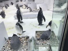 -大连圣亚海洋世界