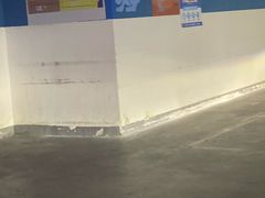 -山姆会员商店(邻瑞广场店)