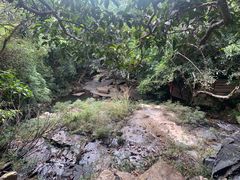 -呀诺达热带雨林