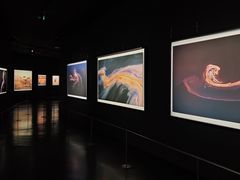 -罗红摄影艺术馆