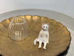 -猫里有甜