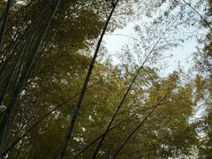 -宝石山