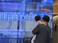 -国贸旋转餐厅(国贸广场店)