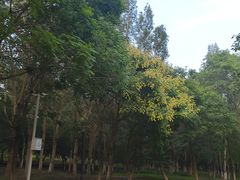 -莫子山公园