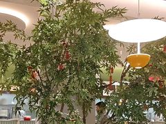 -Aqua Oasis 水天堂(太湖中心mall店)