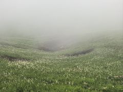 -嵛山岛
