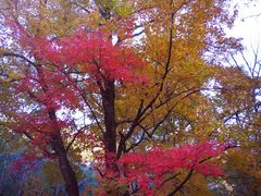 -丹东天桥沟景区