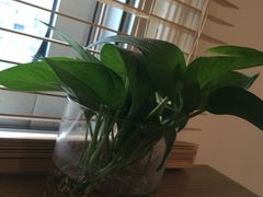 -真我樣照相馆·身份证·证件照·外拍(环球港店)