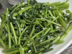 -林之六八·6886大连老菜馆