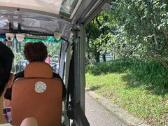 -莲花山公园