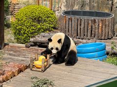 -大连森林动物园