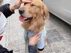 -PETKIT小佩宠物·低压洗护(国顺东路店)