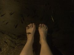 -三亚珠江南田温泉度假区